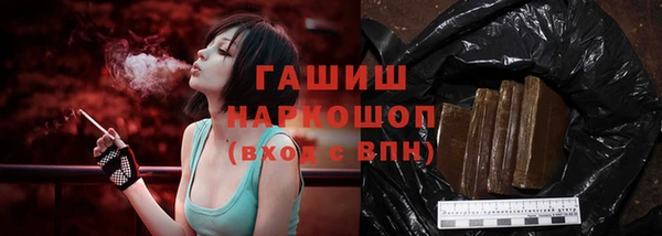 хмурый Арсеньев