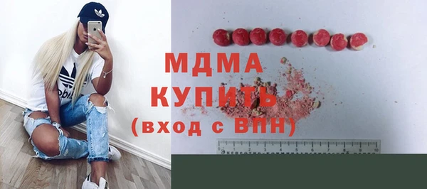хмурый Арсеньев