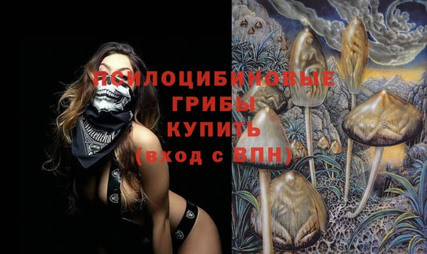 прущие крисы Армянск