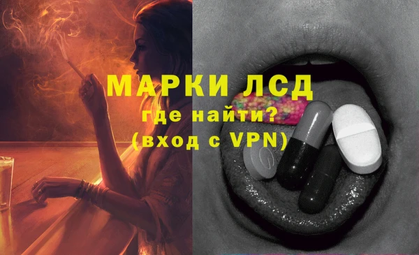 хмурый Арсеньев