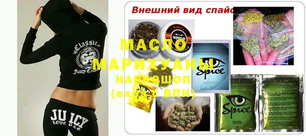хмурый Арсеньев