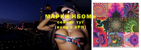 хмурый Арсеньев
