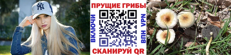 Псилоцибиновые грибы прущие грибы  где продают наркотики  Комсомольск 